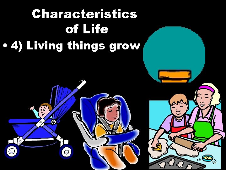Characteristics of Life • 4) Living things grow 