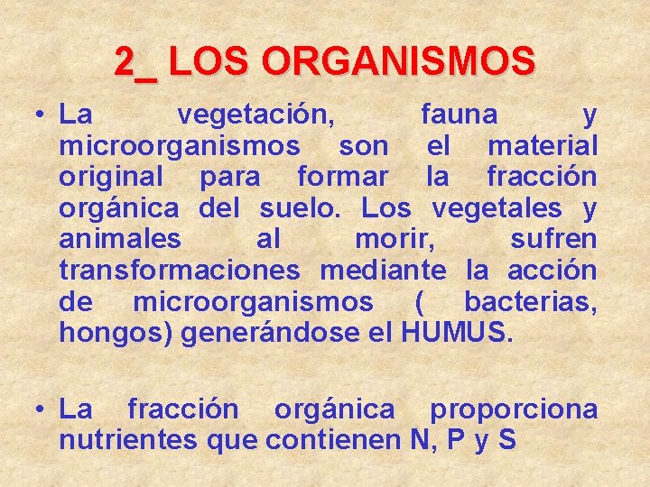 2_ LOS ORGANISMOS • La vegetación, fauna y microorganismos son el material original para