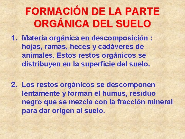 FORMACIÓN DE LA PARTE ORGÁNICA DEL SUELO 1. Materia orgánica en descomposición : hojas,