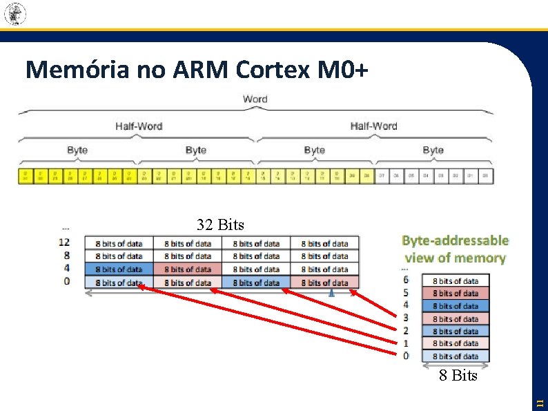 Memória no ARM Cortex M 0+ 32 Bits 11 8 Bits 