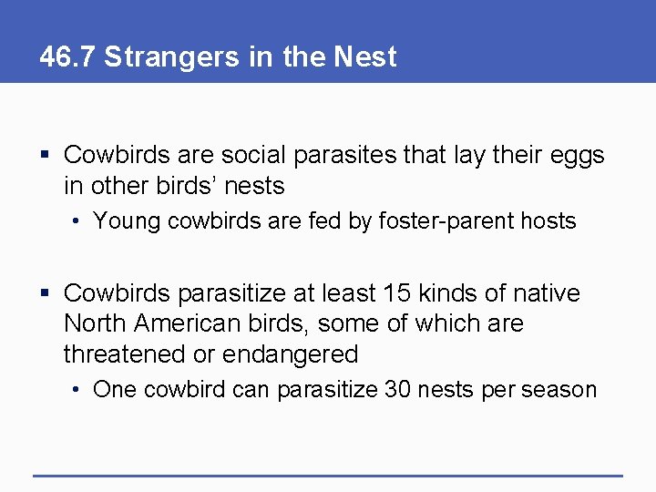46. 7 Strangers in the Nest § Cowbirds are social parasites that lay their