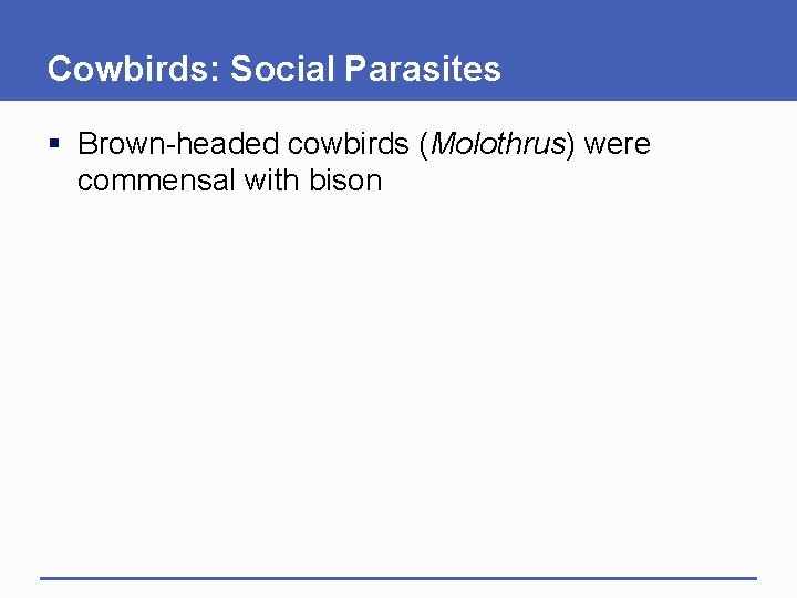 Cowbirds: Social Parasites § Brown-headed cowbirds (Molothrus) were commensal with bison 