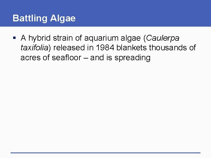 Battling Algae § A hybrid strain of aquarium algae (Caulerpa taxifolia) released in 1984