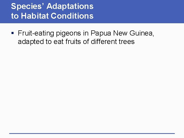 Species’ Adaptations to Habitat Conditions § Fruit-eating pigeons in Papua New Guinea, adapted to