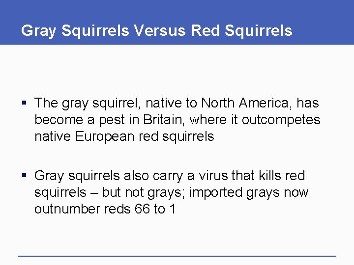 Gray Squirrels Versus Red Squirrels § The gray squirrel, native to North America, has