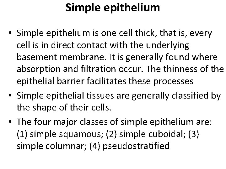 Simple epithelium • Simple epithelium is one cell thick, that is, every cell is