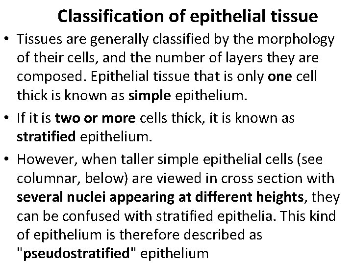 Classification of epithelial tissue • Tissues are generally classified by the morphology of their