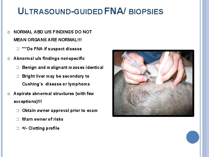 ULTRASOUND-GUIDED FNA/ BIOPSIES NORMAL ABD U/S FINDINGS DO NOT MEAN ORGANS ARE NORMAL!!! �
