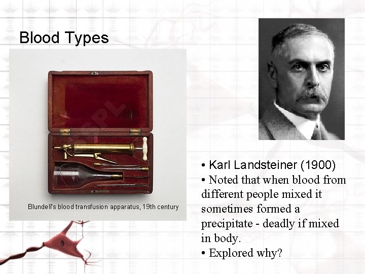 Blood Types Blundell's blood transfusion apparatus, 19 th century • Karl Landsteiner (1900) •