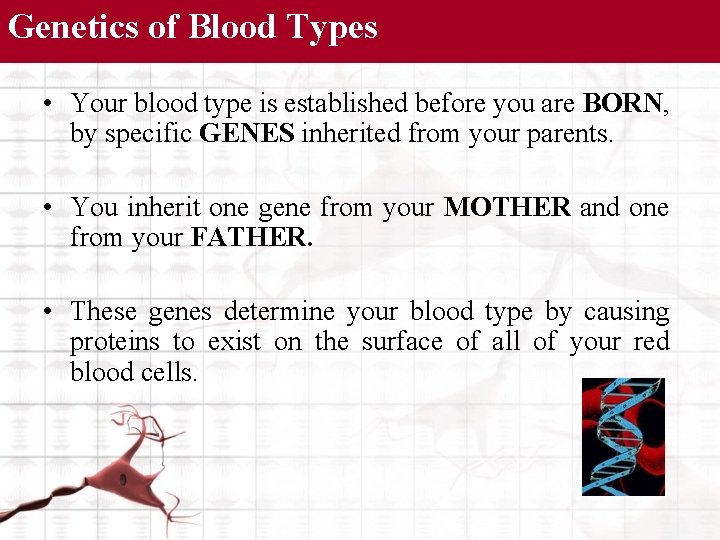Genetics of Blood Types • Your blood type is established before you are BORN,