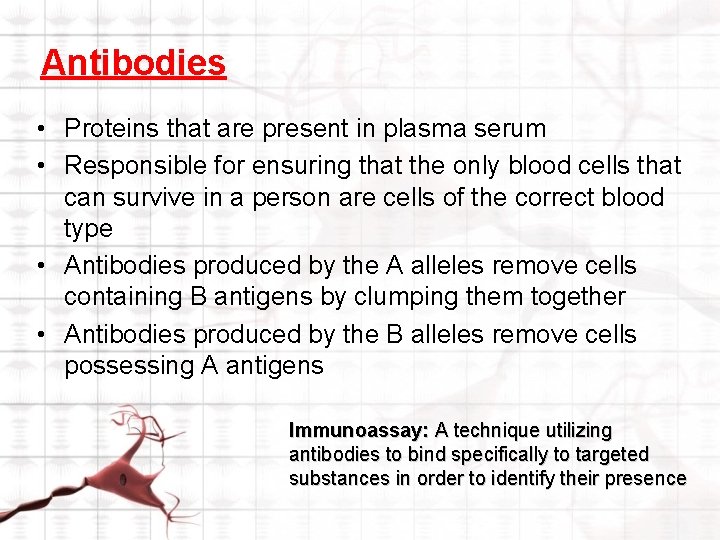 Antibodies • Proteins that are present in plasma serum • Responsible for ensuring that