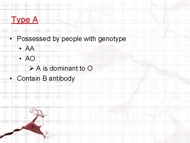 Type A • Possessed by people with genotype • AA • AO Ø A