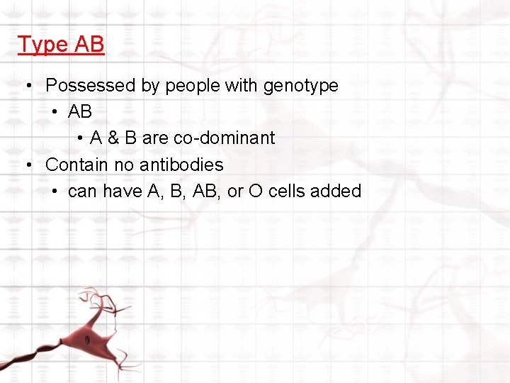 Type AB • Possessed by people with genotype • AB • A & B