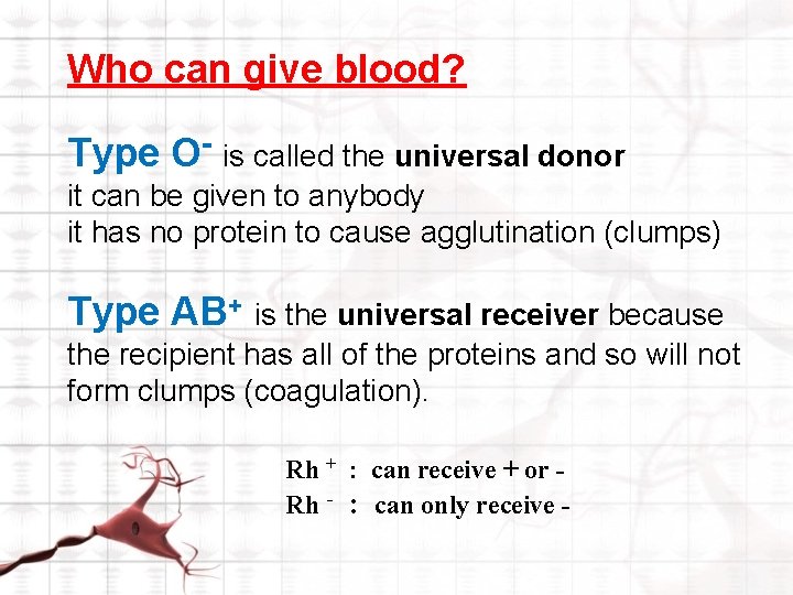 Who can give blood? Type O- is called the universal donor it can be