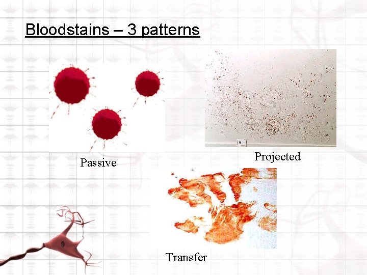Bloodstains – 3 patterns Projected Passive Transfer 