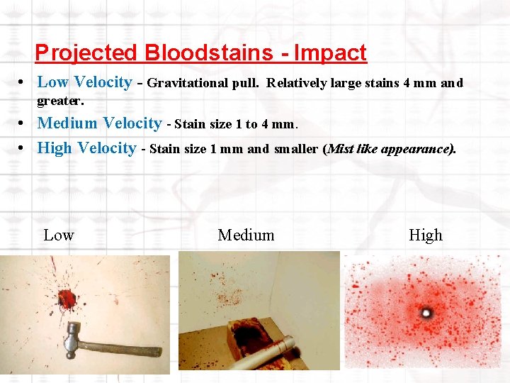 Projected Bloodstains - Impact • Low Velocity - Gravitational pull. Relatively large stains 4