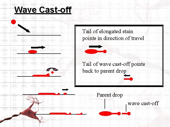 Wave Cast-off Tail of elongated stain points in direction of travel . Tail of