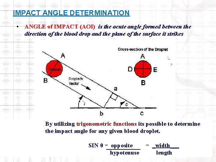IMPACT ANGLE DETERMINATION • ANGLE of IMPACT (AOI) is the acute angle formed between