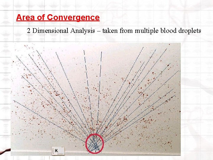 Area of Convergence 2 Dimensional Analysis – taken from multiple blood droplets 