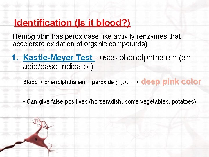 Identification (Is it blood? ) Hemoglobin has peroxidase-like activity (enzymes that accelerate oxidation of