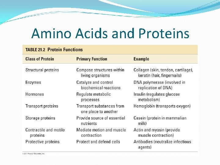 Amino Acids and Proteins 