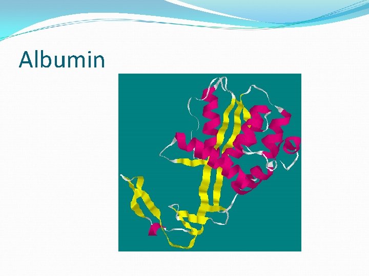 Albumin 