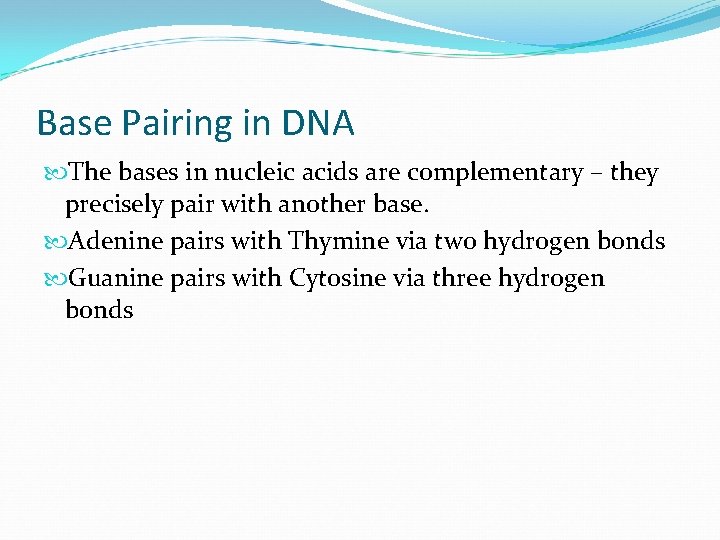 Base Pairing in DNA The bases in nucleic acids are complementary – they precisely