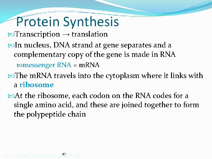 Protein Synthesis Transcription → translation In nucleus, DNA strand at gene separates and a