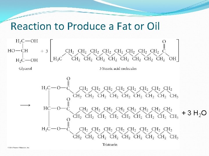 Reaction to Produce a Fat or Oil + 3 H 2 O 