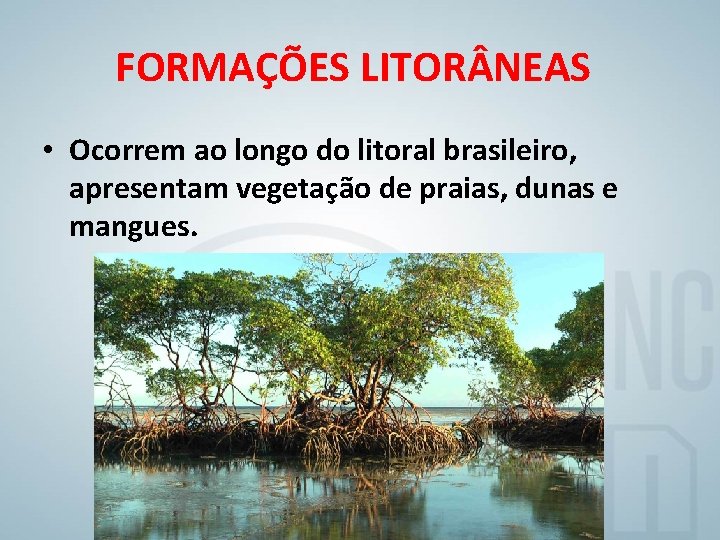 FORMAÇÕES LITOR NEAS • Ocorrem ao longo do litoral brasileiro, apresentam vegetação de praias,