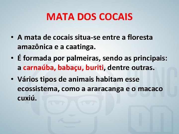 MATA DOS COCAIS • A mata de cocais situa-se entre a floresta amazônica e