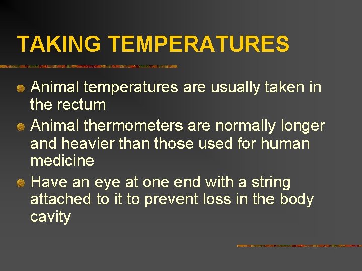TAKING TEMPERATURES Animal temperatures are usually taken in the rectum Animal thermometers are normally