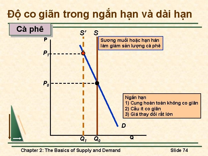 Độ co giãn trong ngắn hạn và dài hạn Cà phê P S’ S