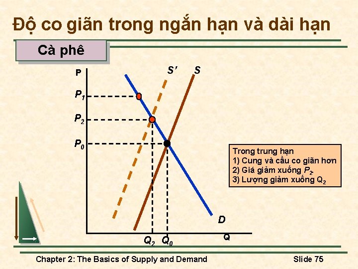 Độ co giãn trong ngắn hạn và dài hạn Cà phê P S’ S