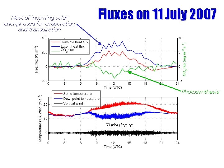 Most of incoming solar energy used for evaporation and transpiration Fluxes on 11 July