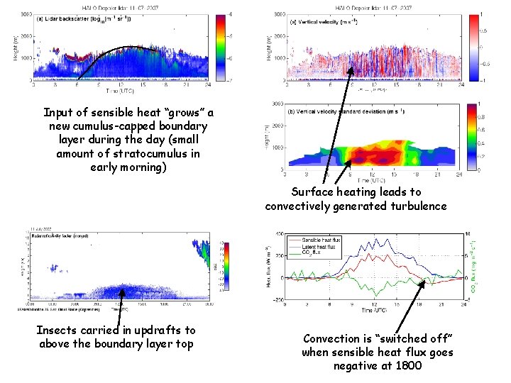 Input of sensible heat “grows” a new cumulus-capped boundary layer during the day (small