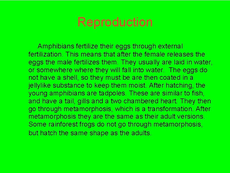 Reproduction Amphibians fertilize their eggs through external fertilization. This means that after the female