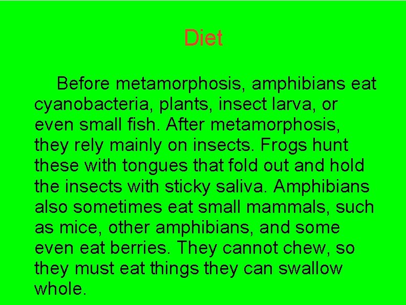Diet Before metamorphosis, amphibians eat cyanobacteria, plants, insect larva, or even small fish. After