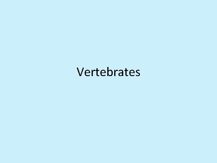 Vertebrates 