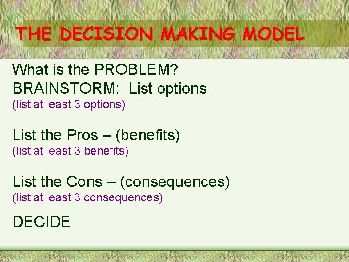 THE DECISION MAKING MODEL What is the PROBLEM? BRAINSTORM: List options (list at least