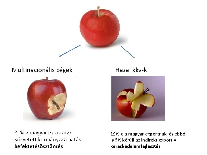 Multinacionális cégek 81% a magyar exportnak Közvetett kormányzati hatás = befektetésösztönzés Hazai kkv-k 19%-a