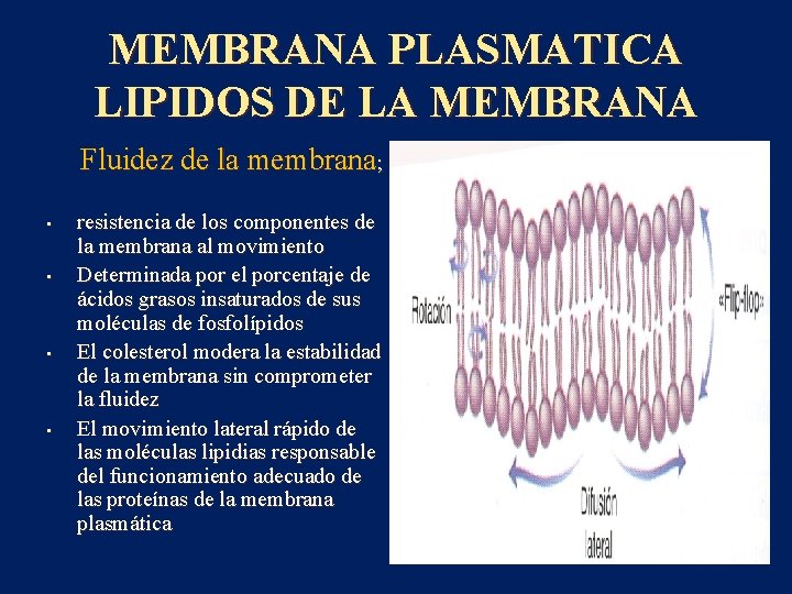 MEMBRANA PLASMATICA LIPIDOS DE LA MEMBRANA Fluidez de la membrana; • • resistencia de