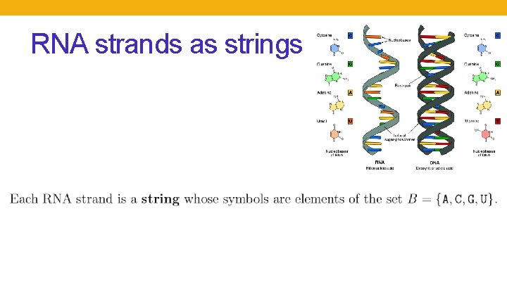 RNA strands as strings 