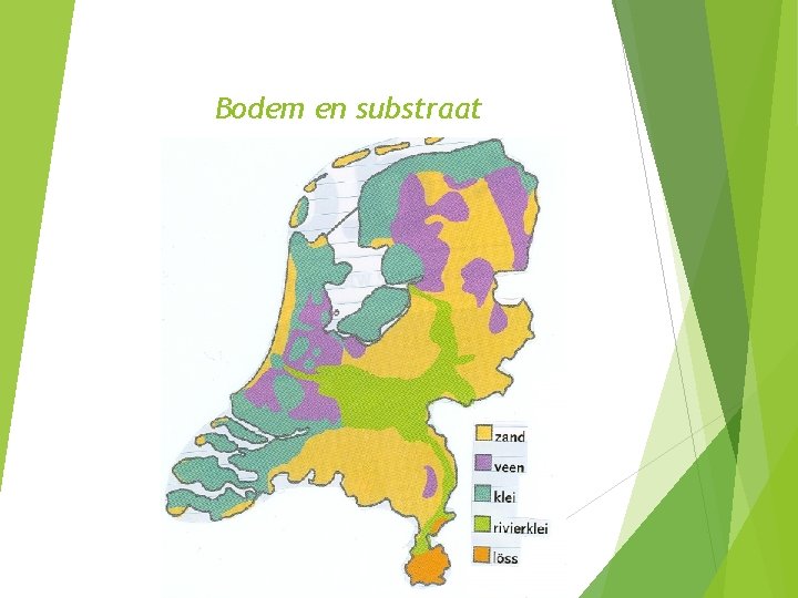 Bodem en substraat 