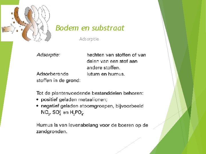 Bodem en substraat Adsorptie 