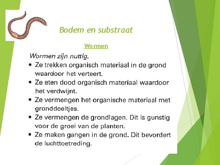 Bodem en substraat Wormen 