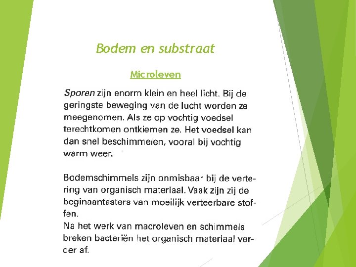 Bodem en substraat Microleven 