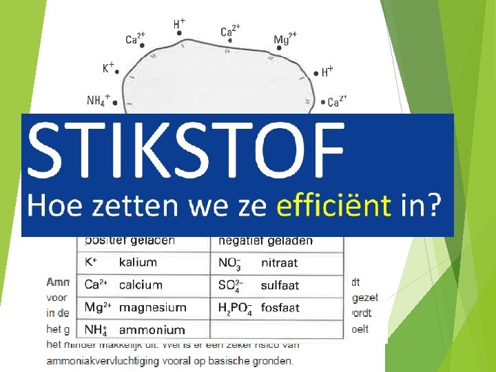 Hoofdstuk 30 Stikstof in de bodem 