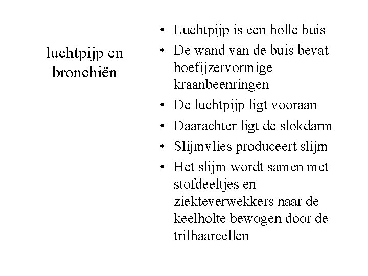luchtpijp en bronchiën • Luchtpijp is een holle buis • De wand van de