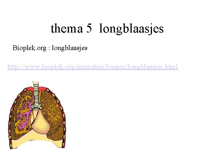 thema 5 longblaasjes Bioplek. org : longblaasjes http: //www. bioplek. org/animaties/longen/longblaasjes. html 